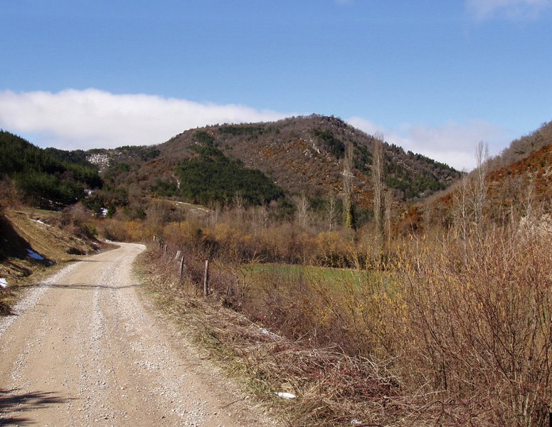 Betutagaña Ibiltzietako bidetik