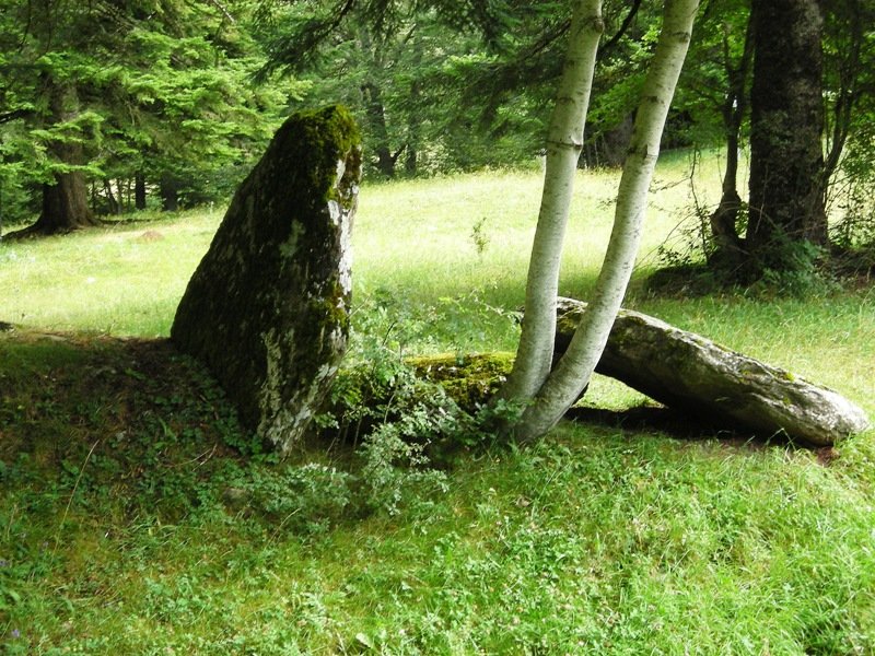 Camping Selva de Oza trikuharria