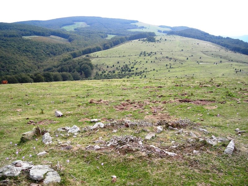 Lerdengibel eremu tumularra