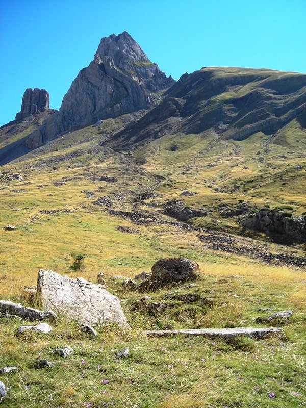 Barranco  Rigüelo trikuharria