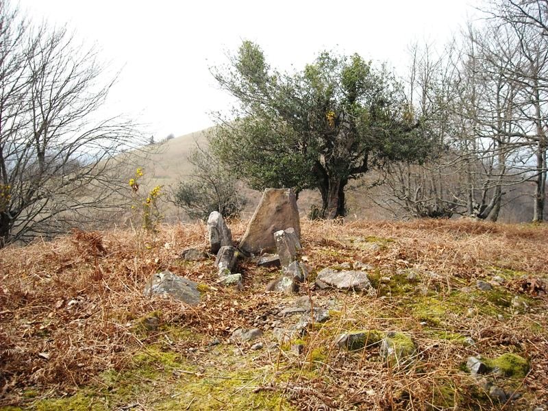 Tonbako Erreka trikuharria
