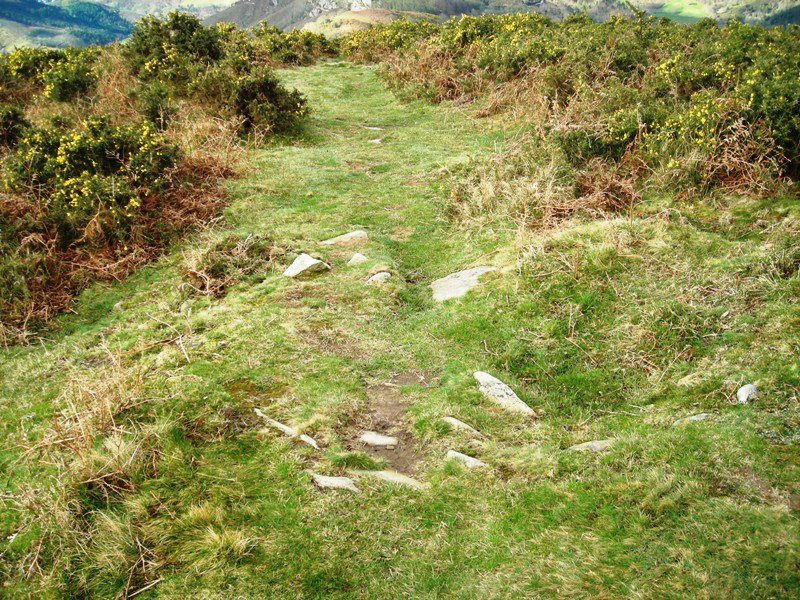 Boreiko Arri  3  harrespila