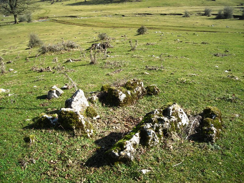 Legaire hego  trikuharria