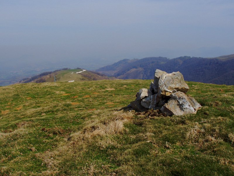 Beillurtiko gailurra