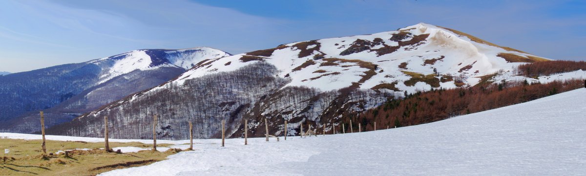 Txangoa Bentarteako lepotik
