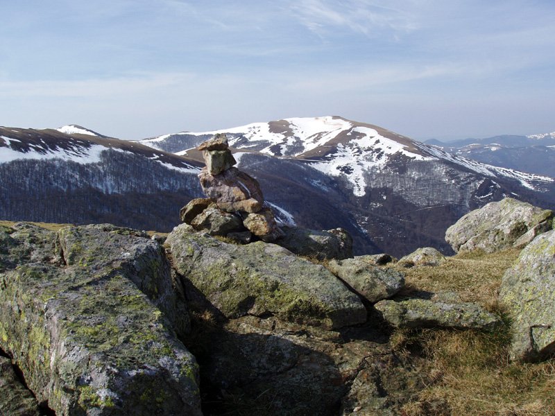 Leizatekako gailurra