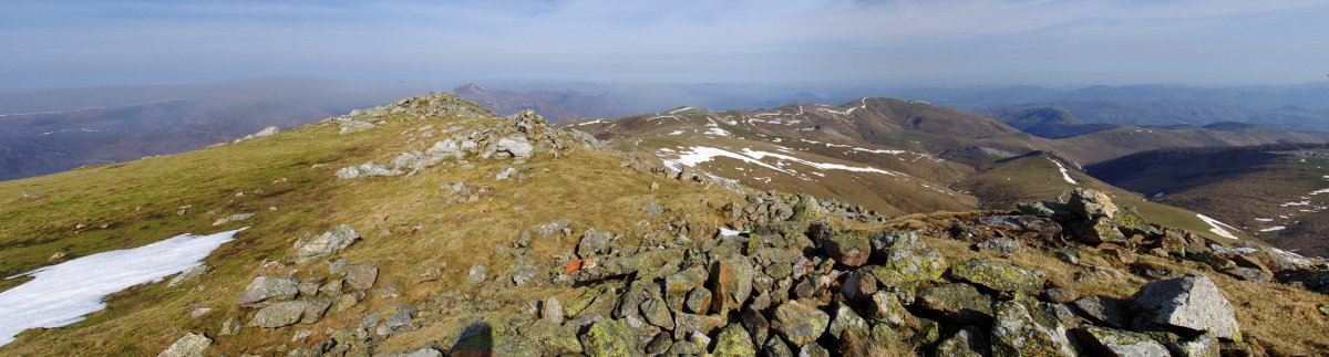 Leizatekako gailurra