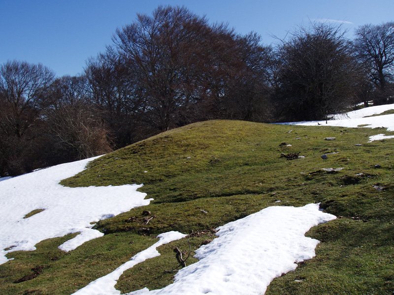 Larginburuko etxola hondoa
