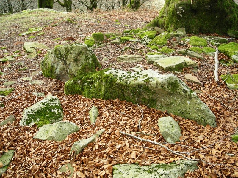 Jeneralaren Tonba trikuharria