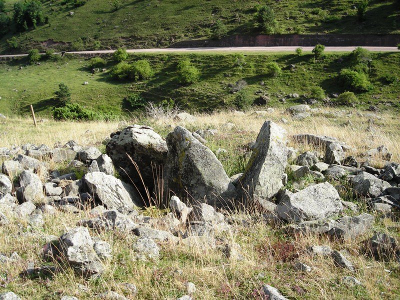 Barranco del Arroyo trikuharria