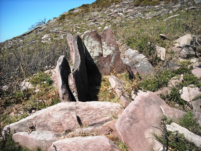 Legate 1  trikuharria