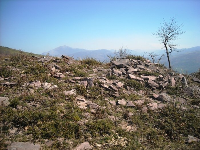 Xaldarri 2 hego trikuharria