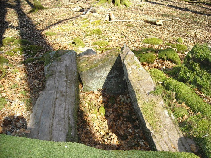 Artola 1 trikuharria