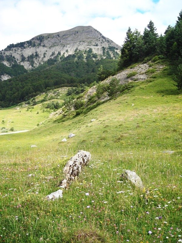 Fuente de los Clerigos 1  trikuharria