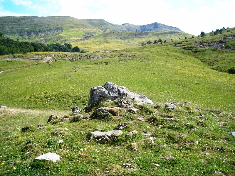 Linza  1 norte  trikuharria