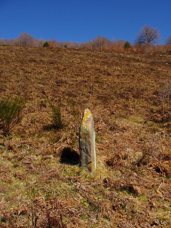Mendigibelgo zutarria, Coronako hego-ekialdean