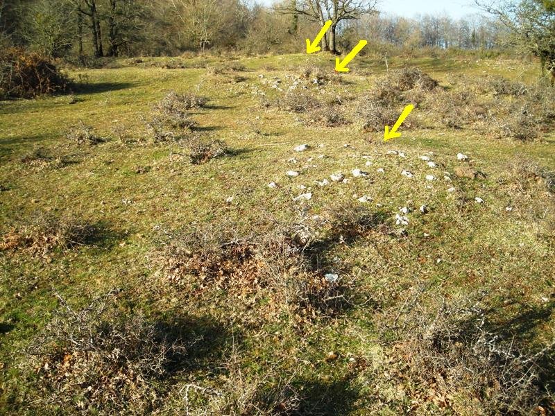 Askain eremu tumularra