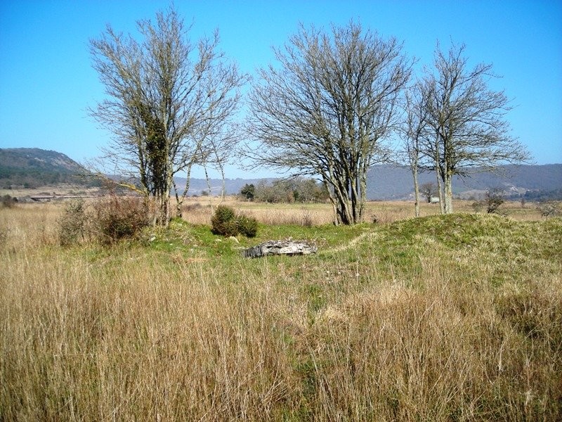 Gurpide ipar trikuharria