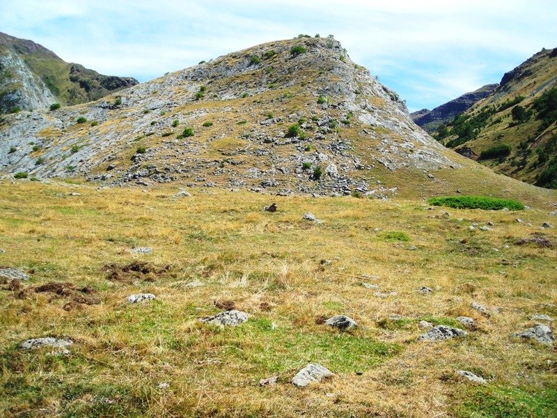 Base Mallo Blanco harrespilak