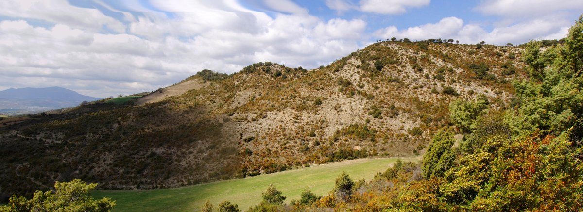 Peñaska mendia Napalgo pistatik