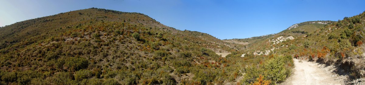 Txusta eta Boluntza arteko sakana