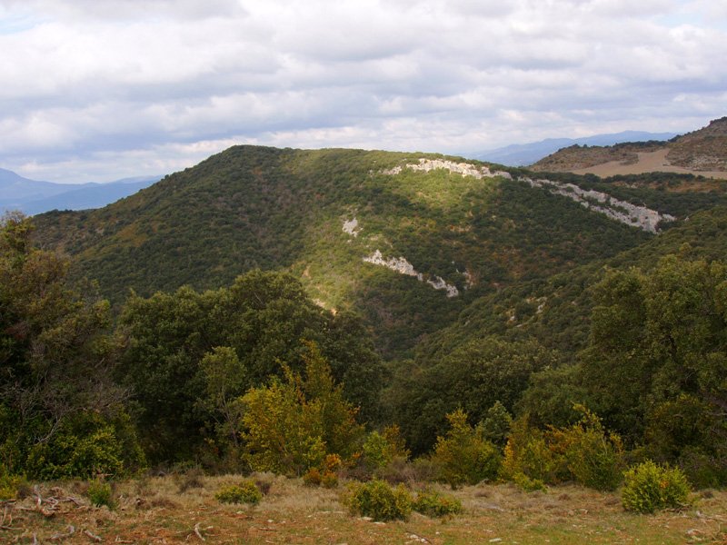 Boluntza-Petrina Peñaskatik 