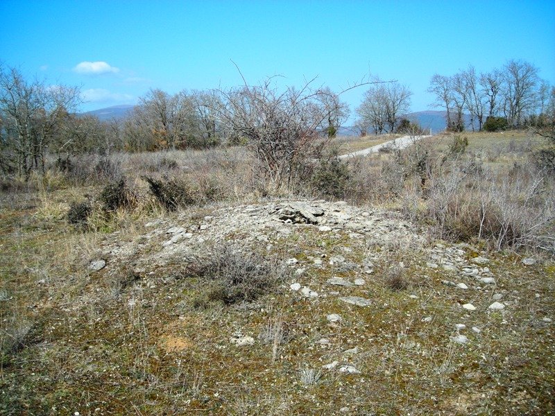 Larras eremu tumularra