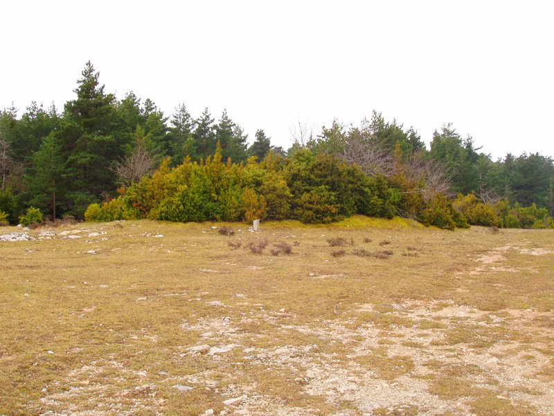 Legarozko trikuharria kanpotik