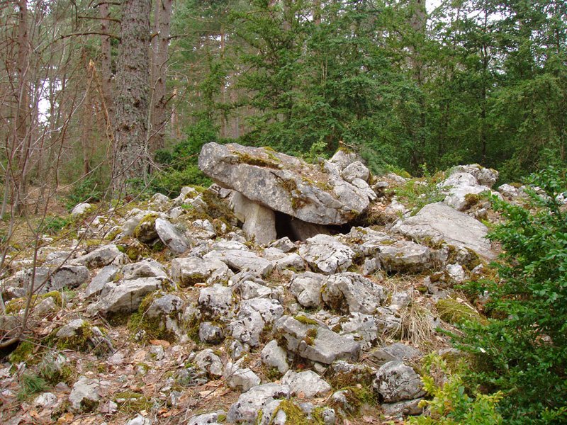 Turendoko trikuharria