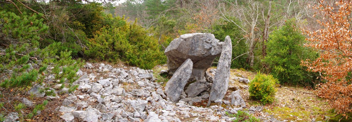 Claveritoko trikuharria