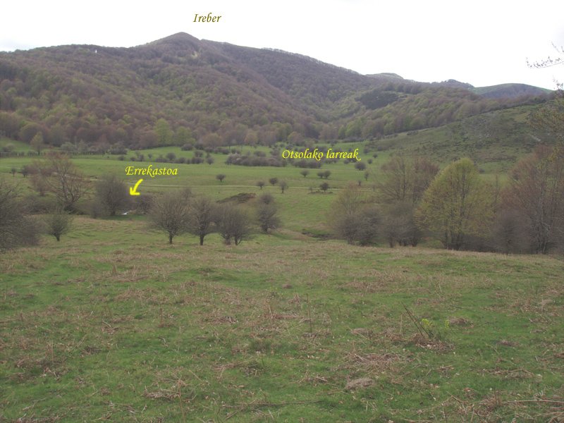 Otsolako larreak Beigañeko hegietatik