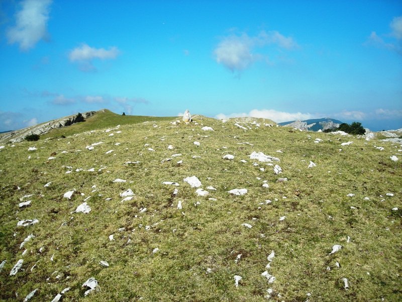 Sarasa Gañe trikuharria