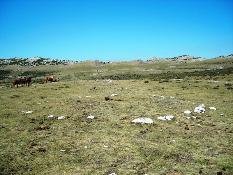 Balsa Fría harrespila