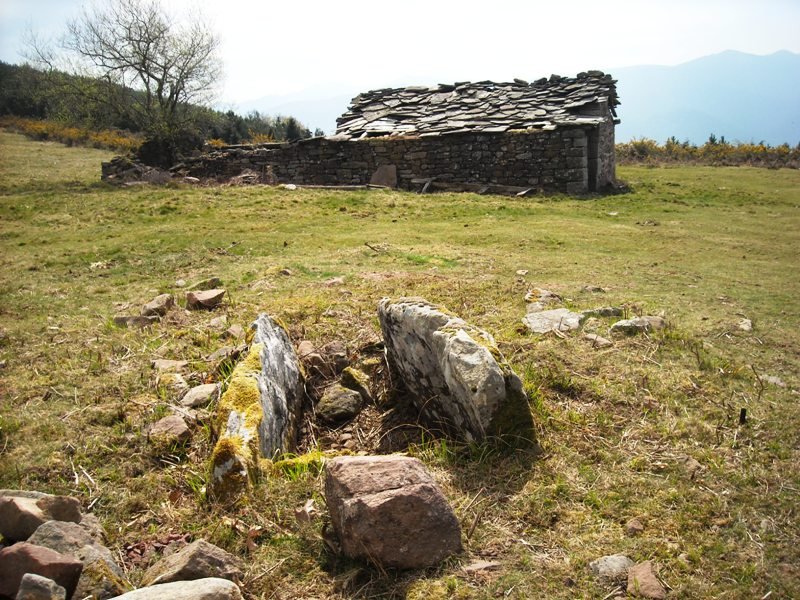 Zumaleku trikuharria