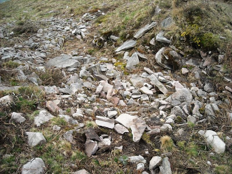 Latargi  3 trikuharria