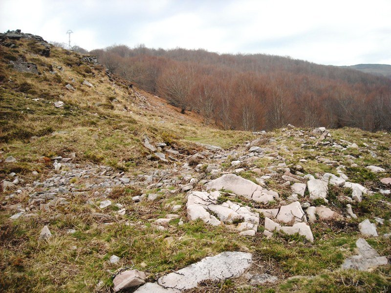 Latargi  3 trikuharria