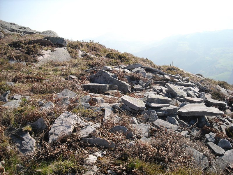 Latargi  9  trikuharria