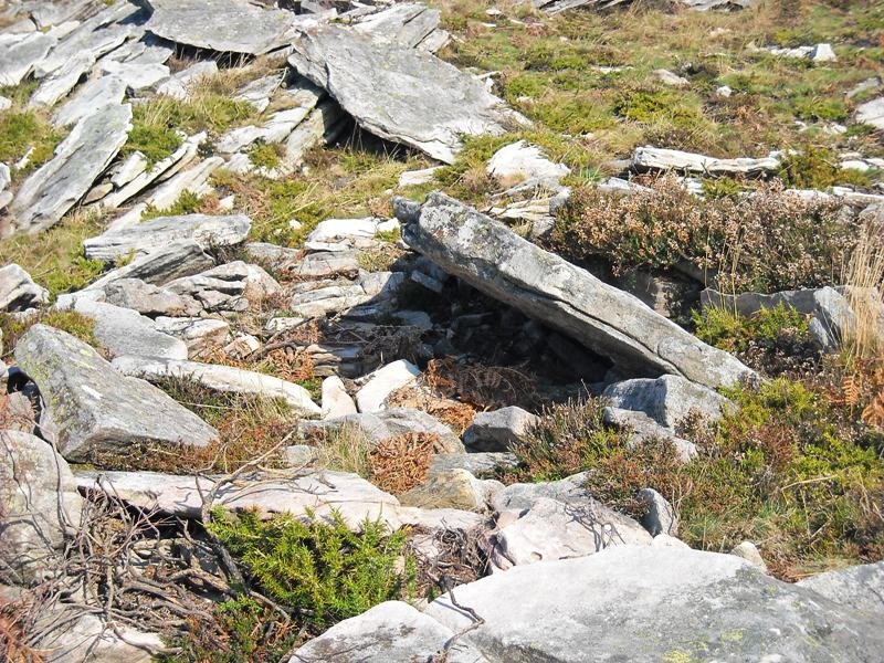 Latargi 14 trikuharria