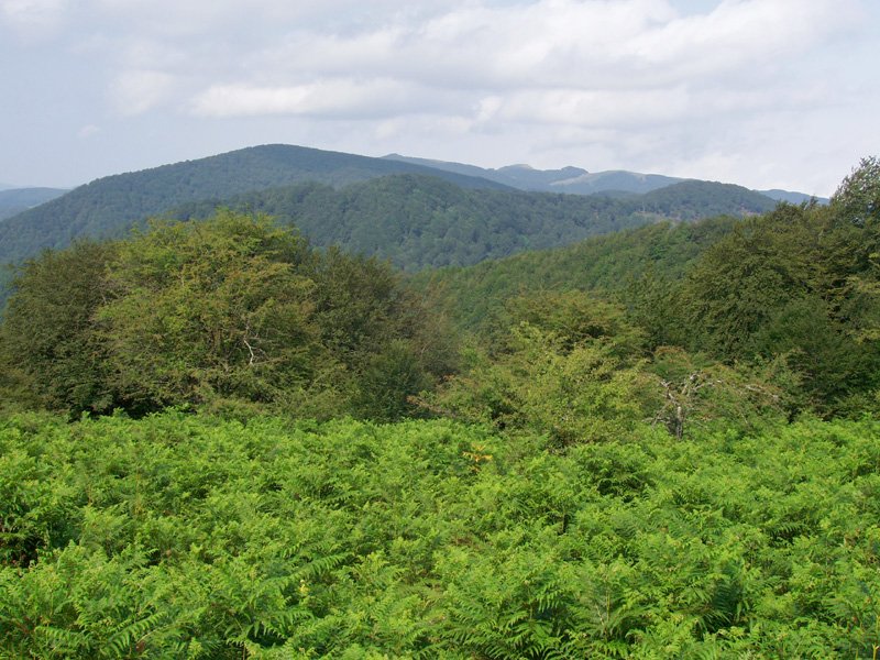 Ikuspegi mugatua gailurretik