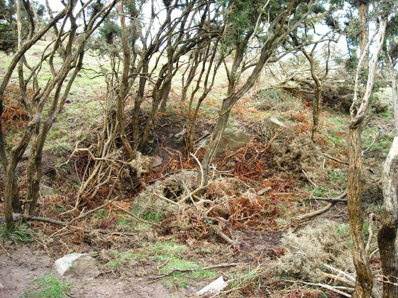 Gaztiñabakar I trikuharria