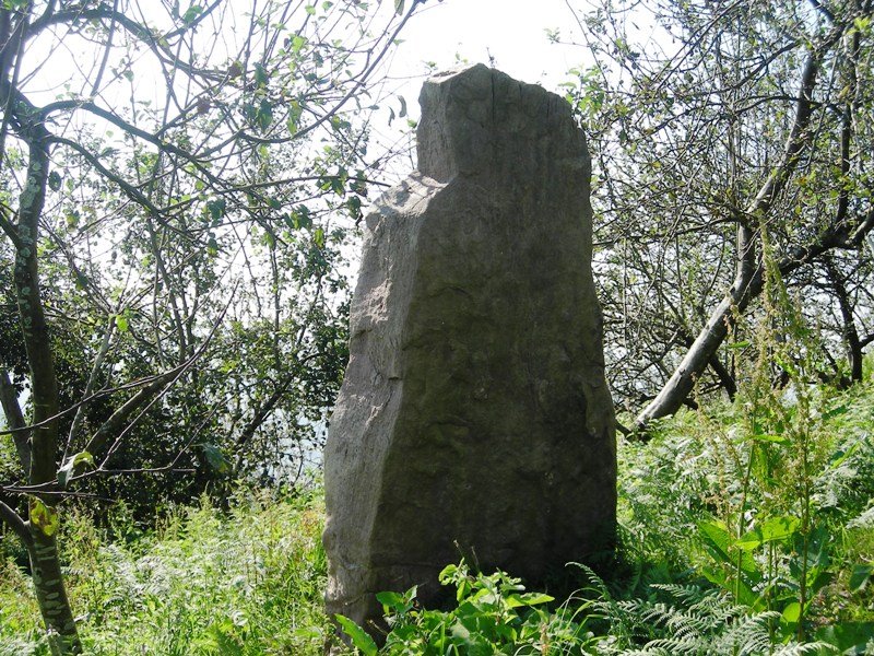 Txoritokieta zutarria