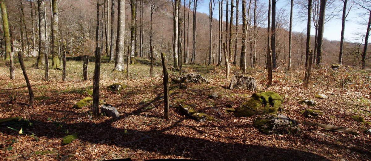 Pitxortzarko gaina 3