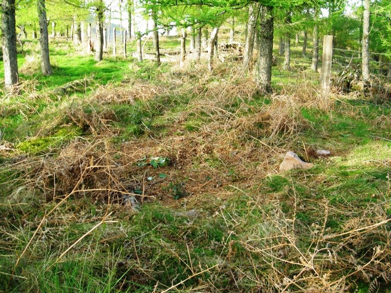 Txarrantxarri 1 ipar trikuharria