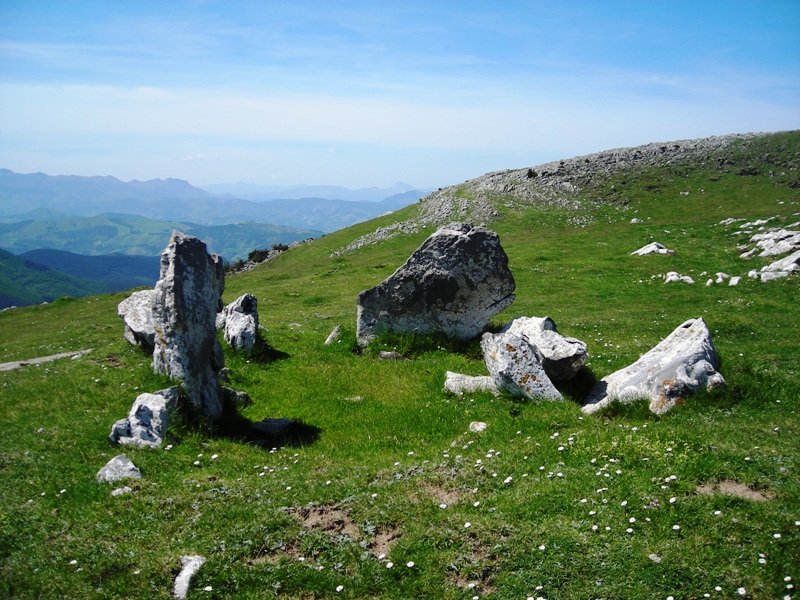 Uelogoena I  trikuharria