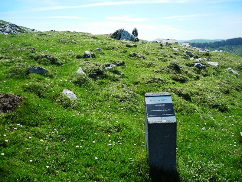 Aranzadi  trikuharria