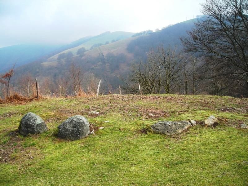 Oianleku hego  harrespila