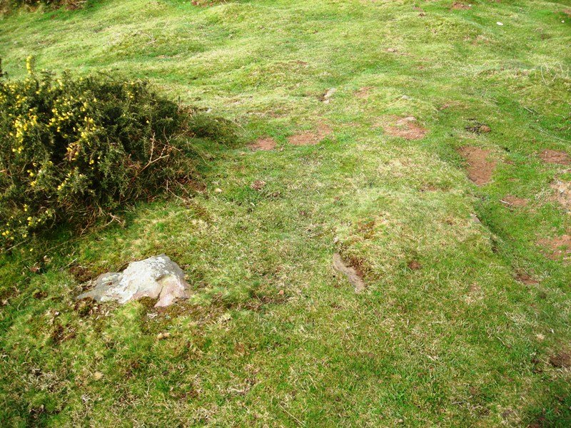 Boreiko Arri 2  harrespila