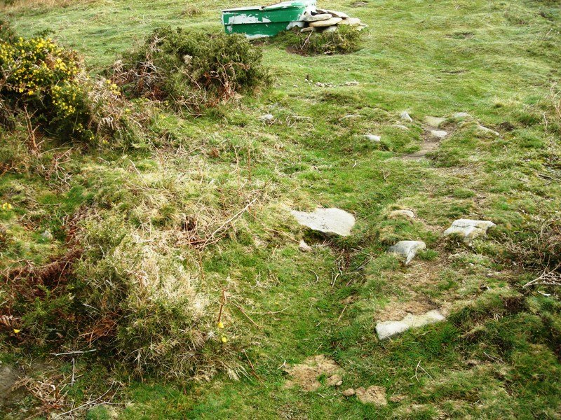 Boreiko Arri   3  harrespila