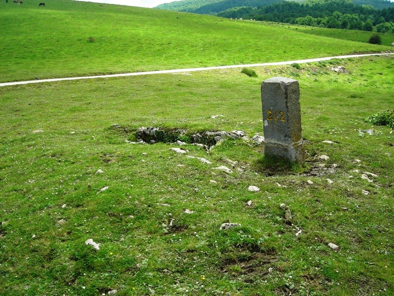 Organbide trikuharria