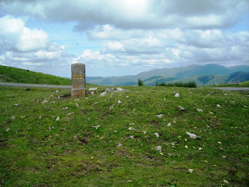 Organbide trikuharria